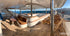 Red Sea North Liveaboard Aug 11-Aug 18 2025