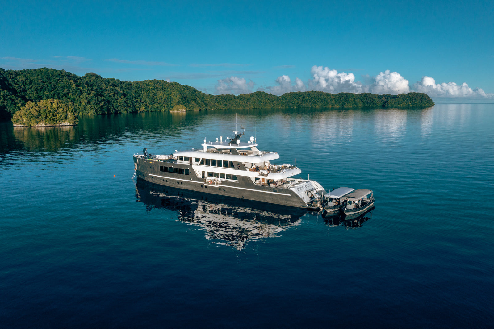 Palau NYE Liveaboard 12/29/25-1/5/26 Full Moon Spawning Special