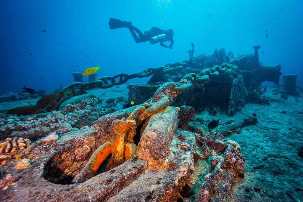 Red Sea North Liveaboard Aug 11-Aug 18 2025