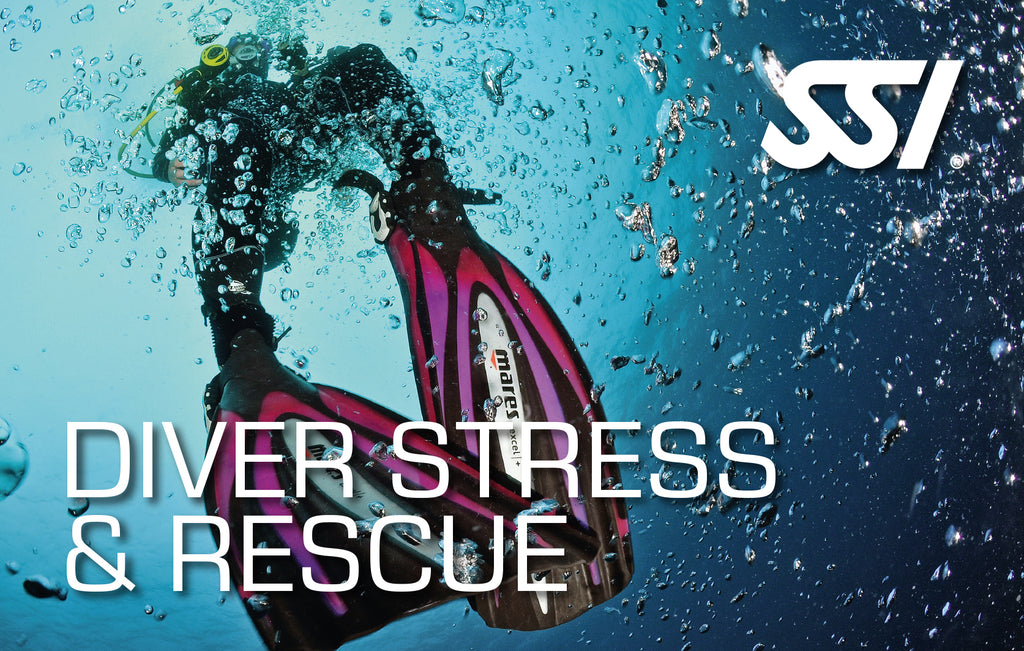 SSI Master Scuba Diver Bundle - Outside The Asylum Diving & Travel