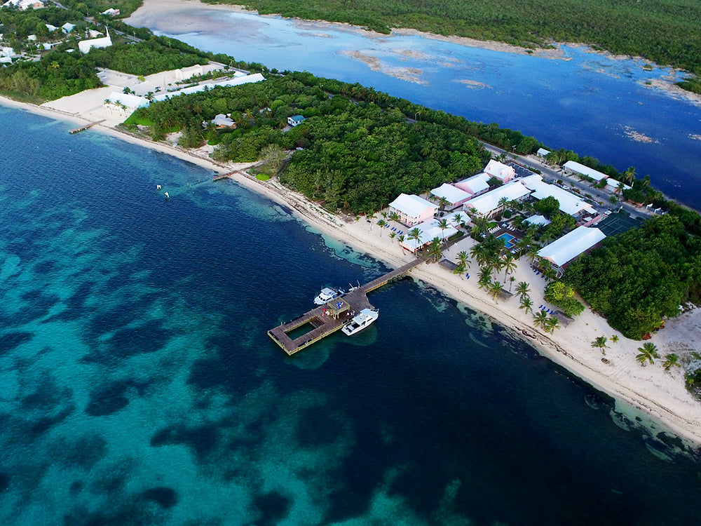 SSI Snorkeling & Skin Diving - Outside The Asylum Diving & Travel