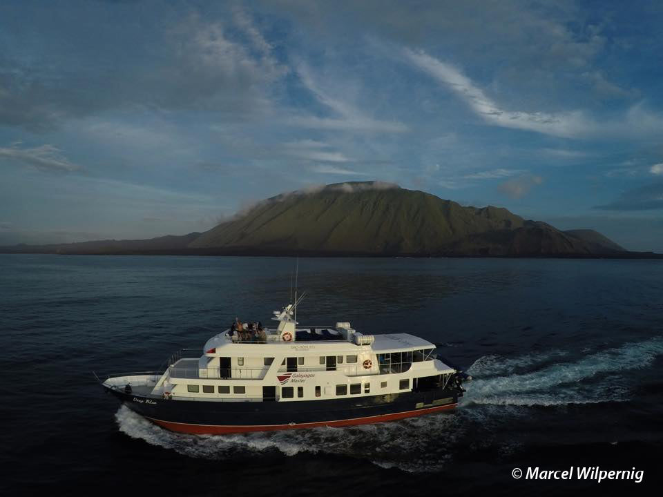 Galapagos 10 Day Liveaboard April 17-27, 2023 PRICE IS DEPOSIT ONLY - Outside The Asylum Diving & Travel